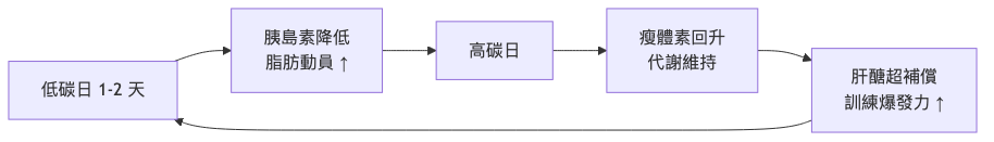 碳循環減脂法原理 高低碳日循環流程圖
