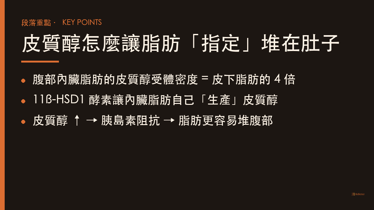 皮質醇與腹部脂肪的關係 機轉重點整理