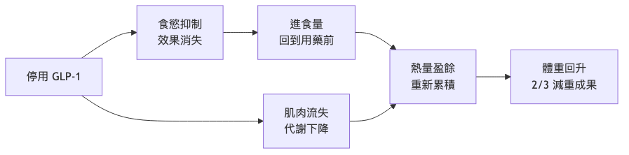 GLP-1 瘦瘦針停藥會復胖嗎 停藥後復胖機轉流程圖