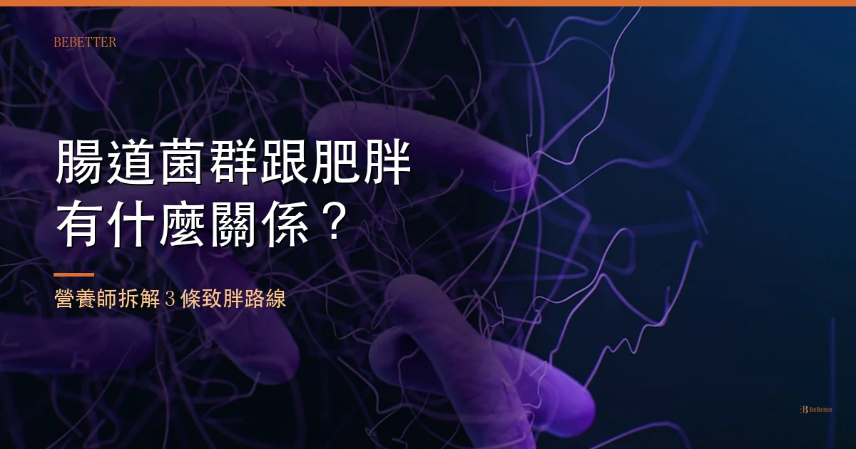 腸道菌群跟肥胖有什麼關係 封面圖