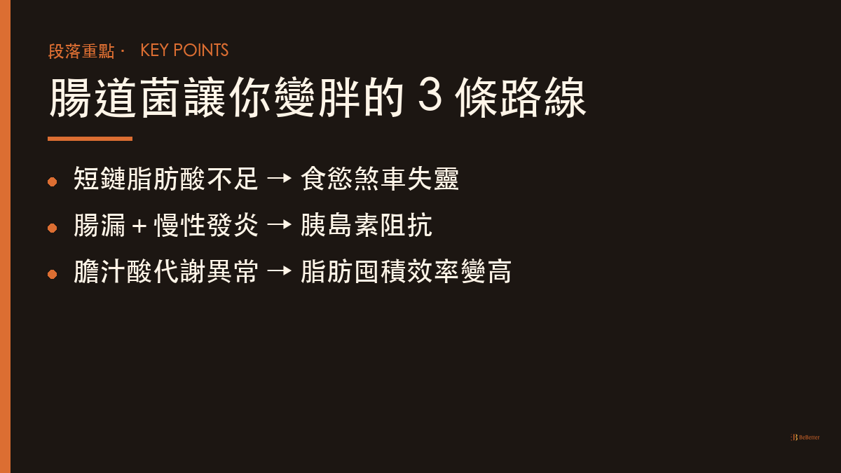 腸道菌群跟肥胖有什麼關係 三條致胖路線重點整理