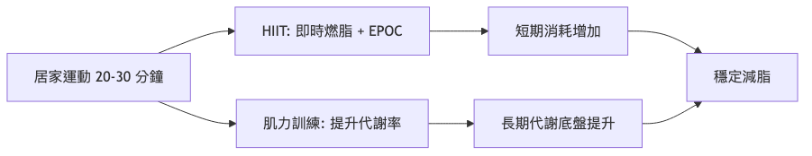 在家也能做的減脂運動 運動燃脂機轉流程