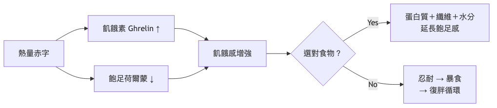 減脂期吃不飽怎麼辦 飢餓飽足機制流程圖