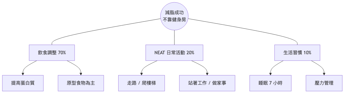 不去健身房也能瘦的方法 減脂成功關鍵因素流程圖