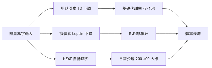 代謝適應 代謝適應機制流程圖