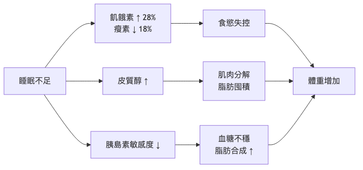 睡眠不足為什麼會變胖 生理機轉流程圖