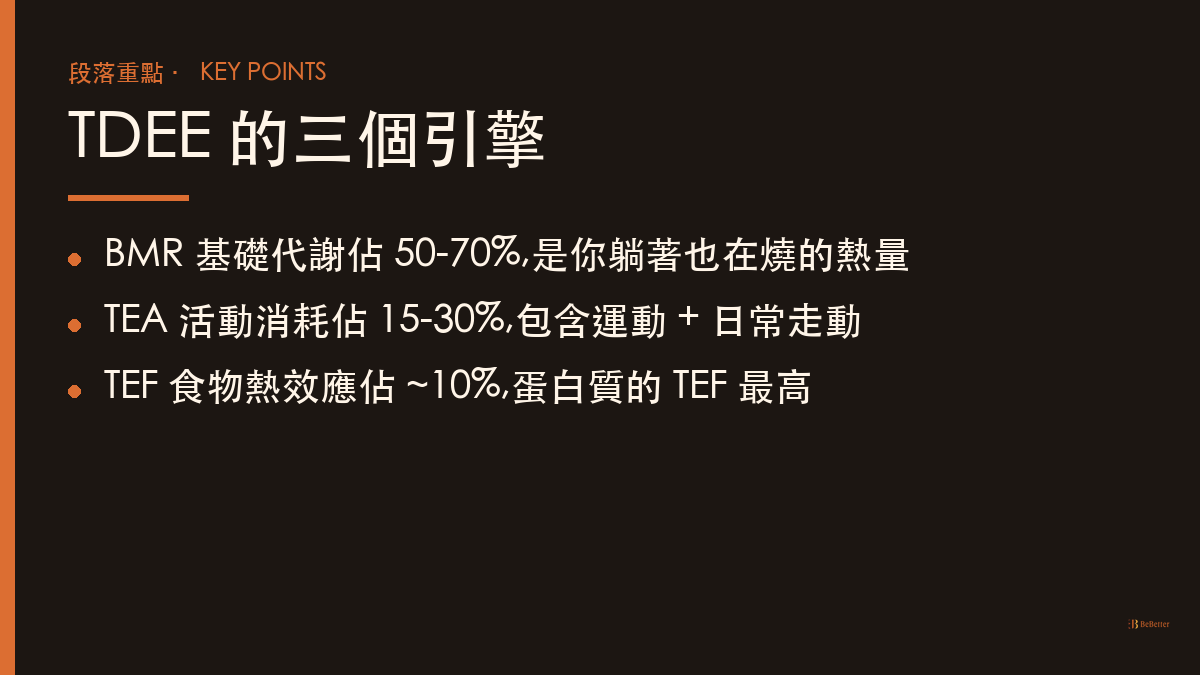 tdee計算 TDEE 三個組成重點整理