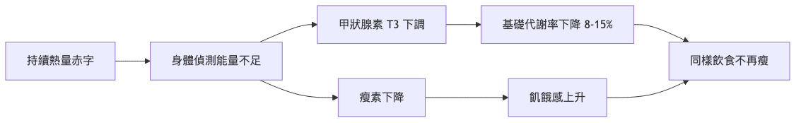 減肥撞牆期 代謝適應機轉流程圖