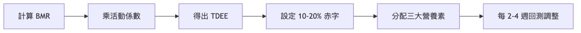 基礎代謝計算 從 BMR 到減脂計畫流程