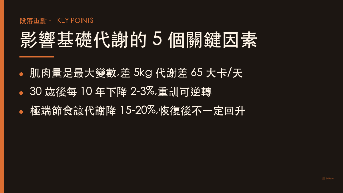 基礎代謝計算 影響因素重點整理