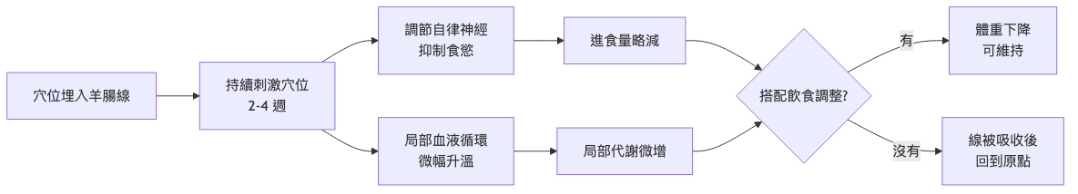 埋線減肥 原理機轉流程圖