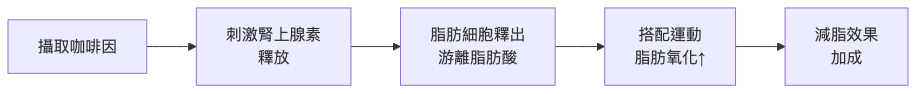 減脂期咖啡怎麼喝 咖啡因燃脂機轉流程