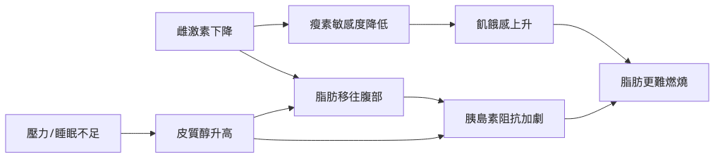 女性荷爾蒙失調與肥胖的關係 荷爾蒙失調與肥胖的惡性循環