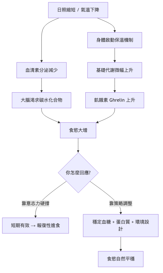 換季食慾大增的生理機制與應對策略流程圖