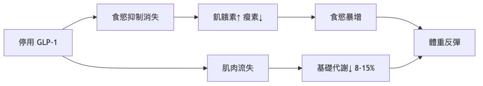 GLP-1 瘦瘦針停藥復胖機轉流程圖
