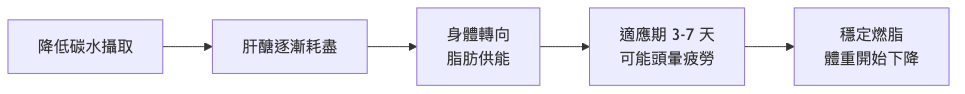 低碳飲食一週菜單 身體能量切換流程