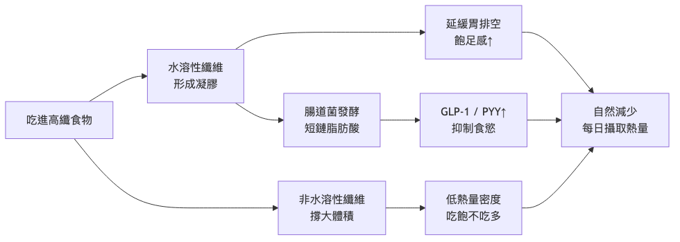 高纖食物減脂效果機轉流程圖