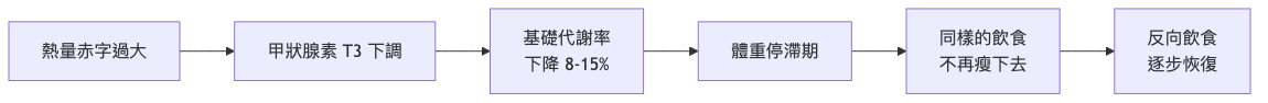 減肥後代謝變慢怎麼恢復 代謝適應機轉流程圖