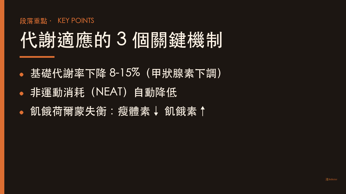 減肥後代謝變慢怎麼恢復 代謝適應三大機制重點