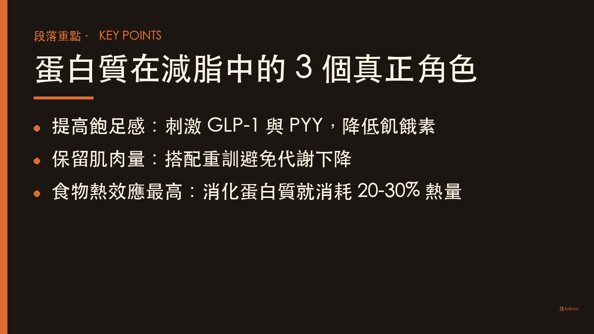 蛋白質減脂角色 重點整理