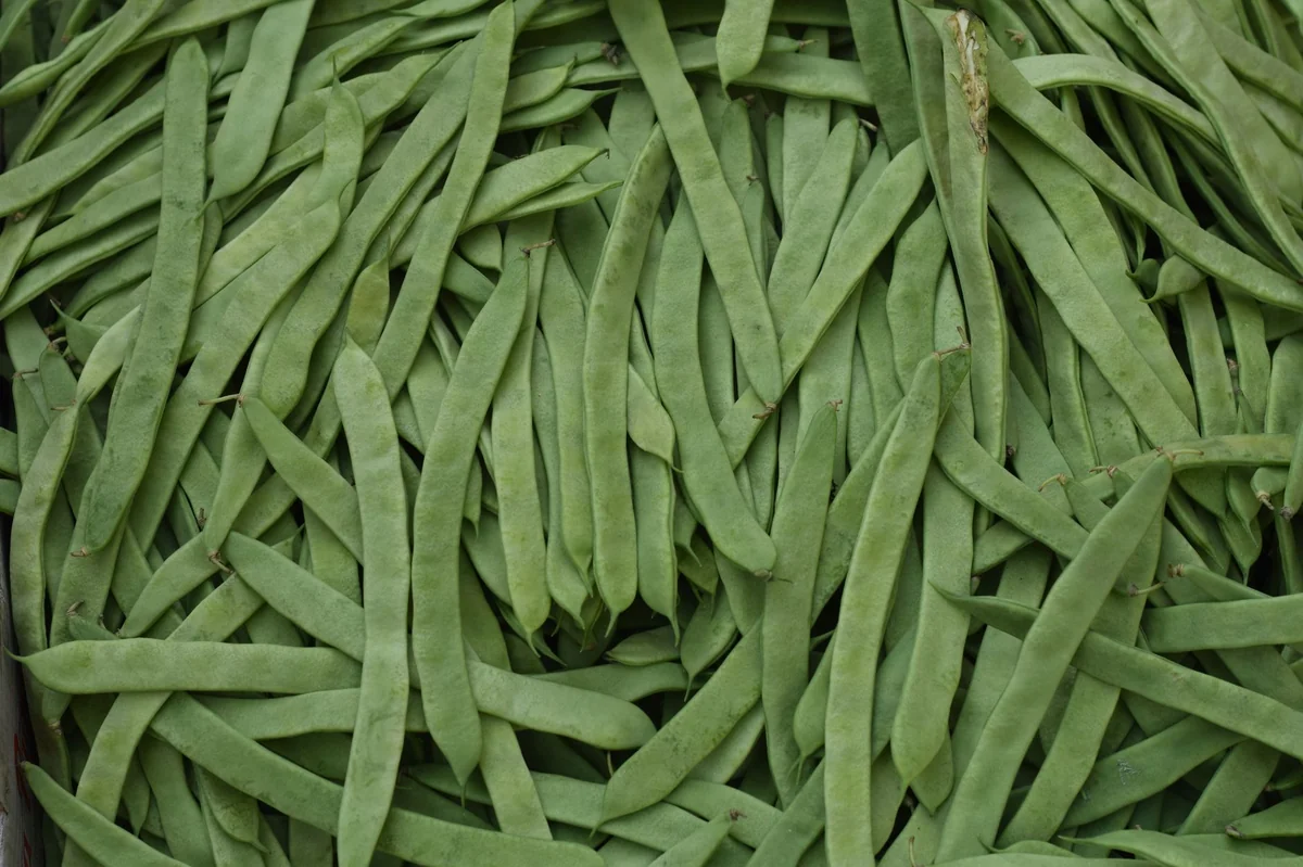 高纖食物減脂食材實拍:豆類蔬菜穀物