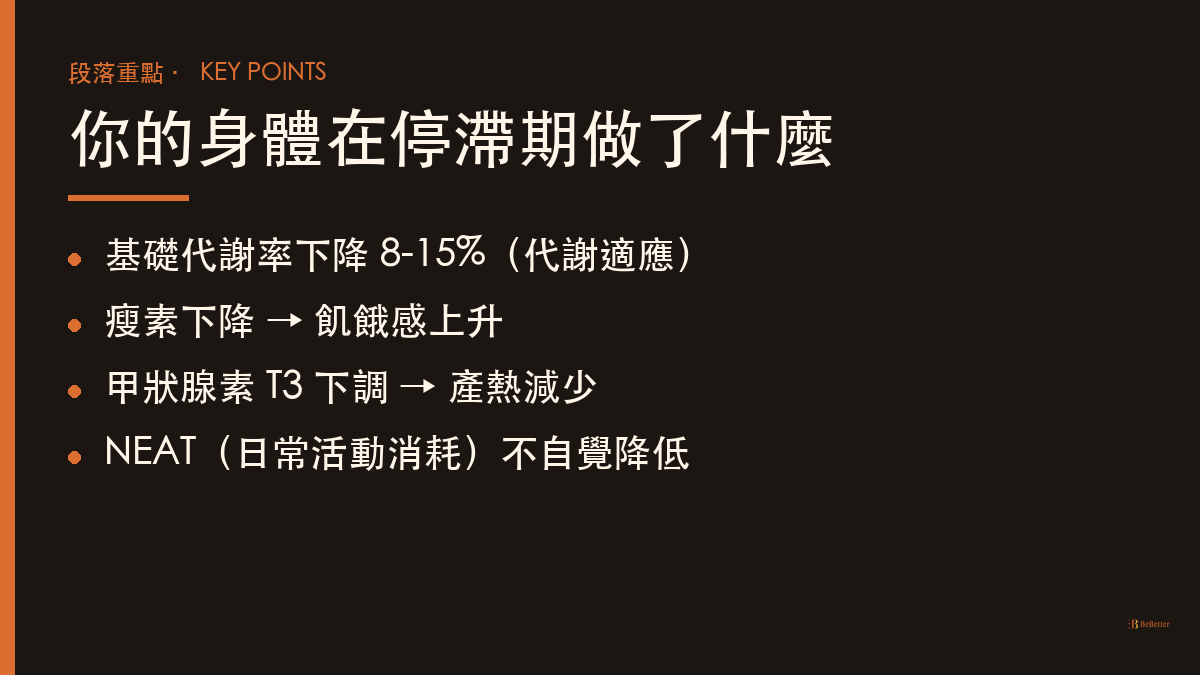 減肥停滯期 代謝適應機轉重點整理