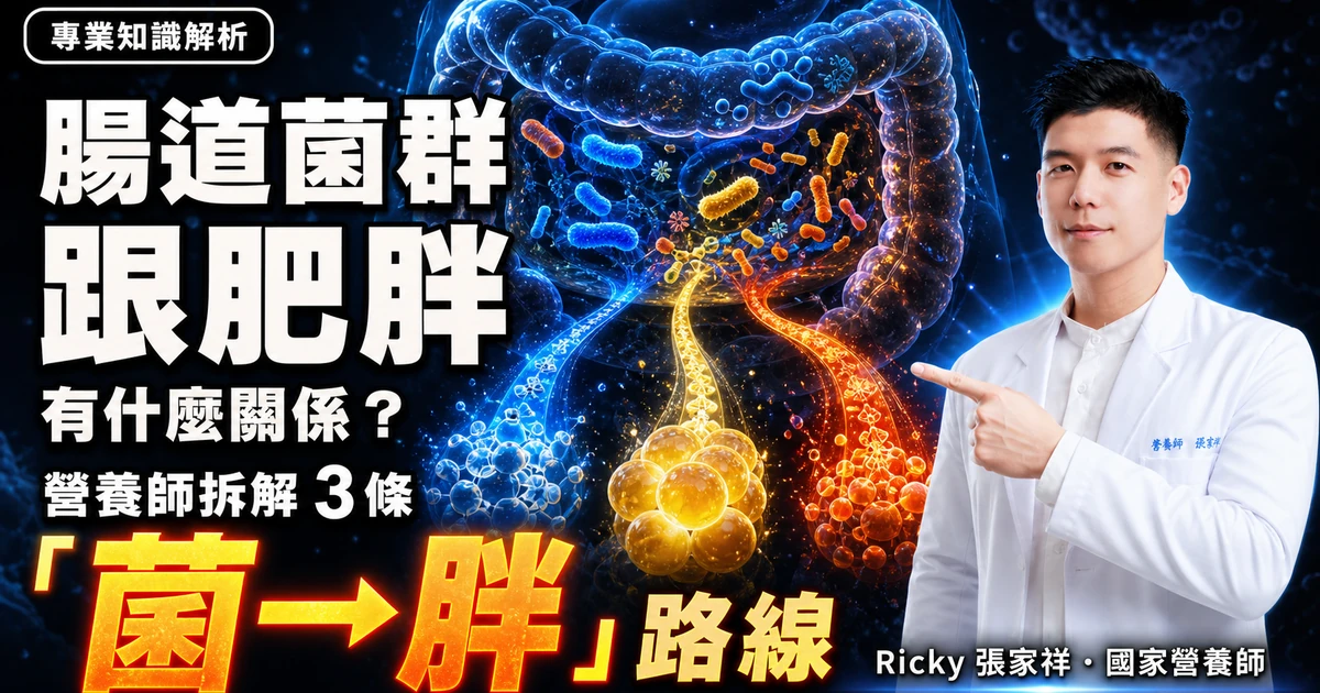 腸道菌群跟肥胖有什麼關係?營養師拆解 3 條「菌→胖」路線